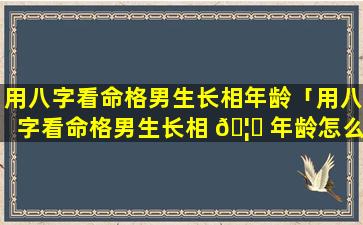 用八字看命格男生长相年龄「用八字看命格男生长相 🦆 年龄怎么看」